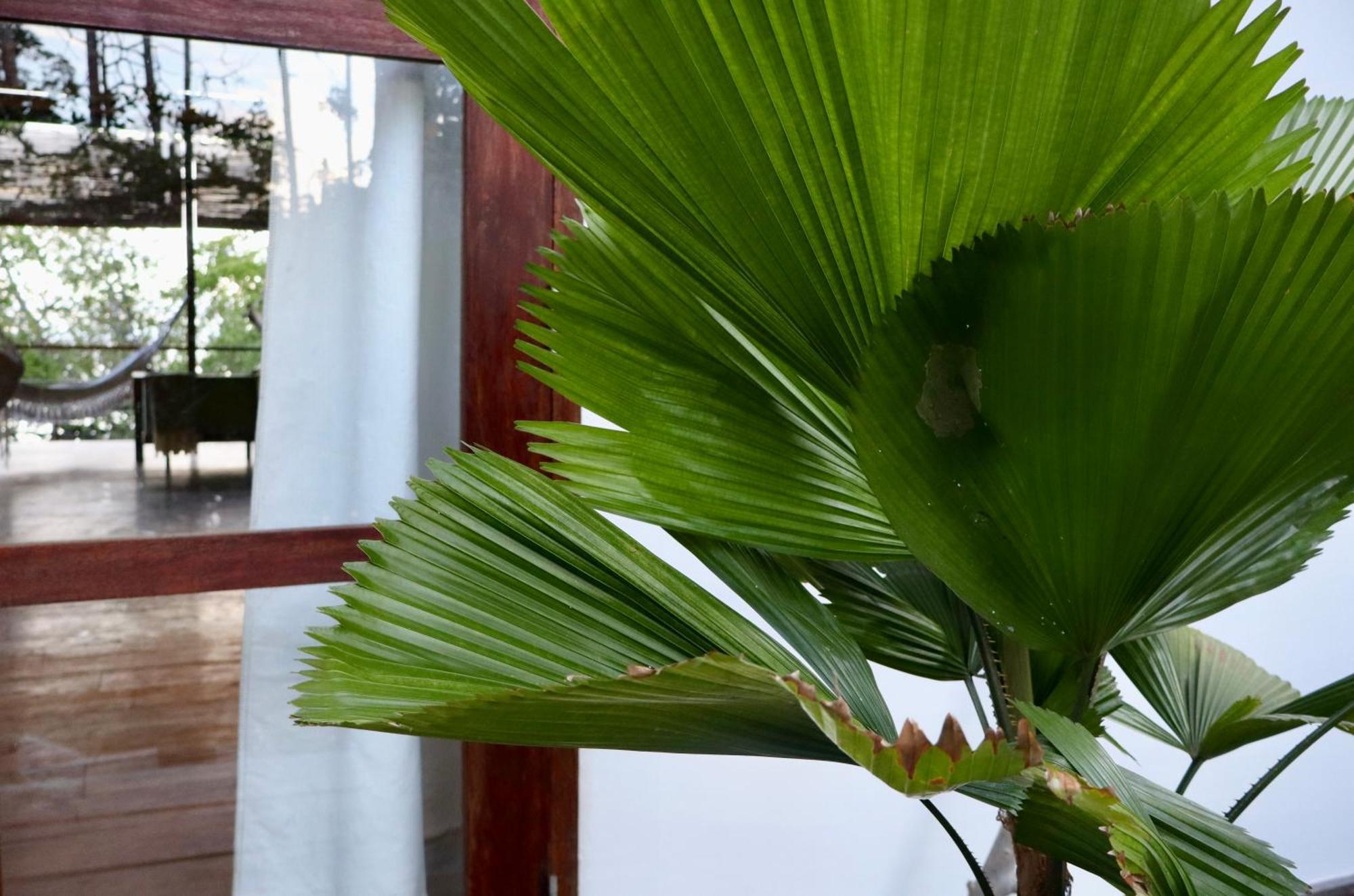 Villa Luzo & Tours Saonek Exterior photo