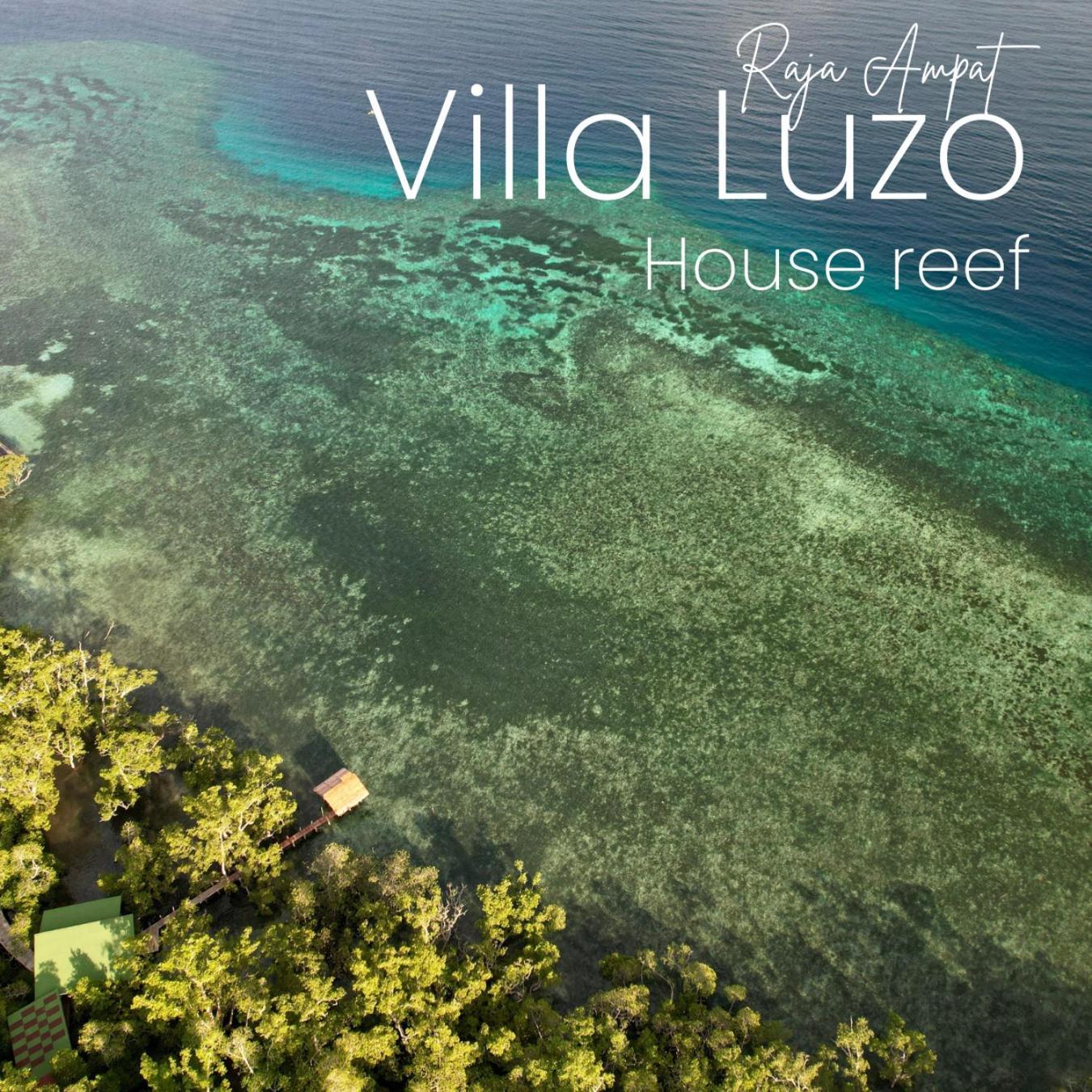 Villa Luzo & Tours Saonek Exterior photo